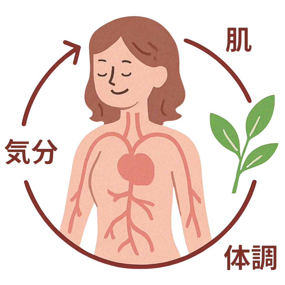 めぐりケア図解